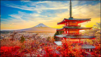 Qu'est-ce qui est le plus important pour toi ?