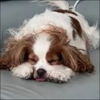 Comment s'appelle l'agence qu'elle a créée ?