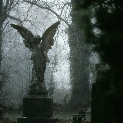 Comment veux-tu que le temps soit dehors ?