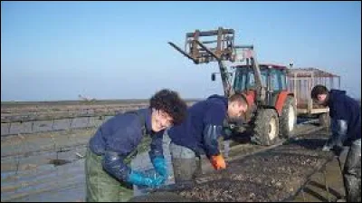 Quelle était la profession des parents de Dominique Rocheteau, l'ange vert de Saint-Étienne, dans les années 70 ?