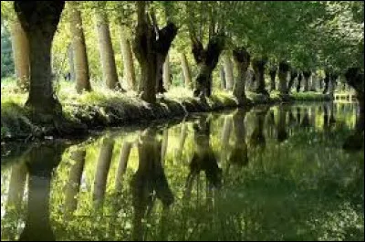Narbonne, basilique Saint-Paul, le bénitier, et à l'intérieur quelle sculpture y voit-on ?