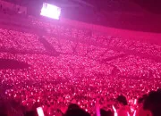 Quiz  quel groupe appartient ce fandom ?