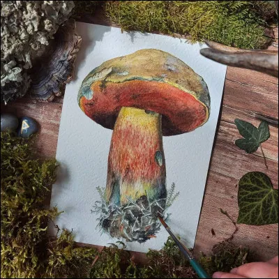 Le bolet Satan est-il toxique ?