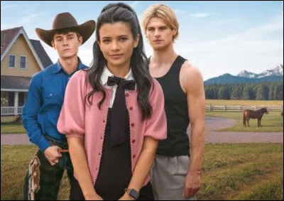 Et ce poster ? A quelle série Netflix est-il rattachée ?