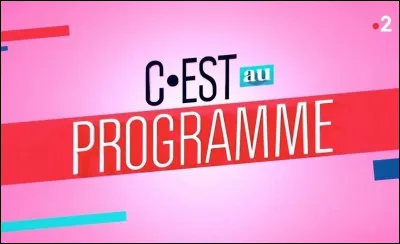 Qui animait l'émission "C'est au programme" sur France 2 ?