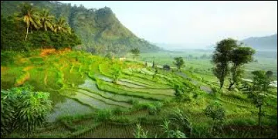 Lequel de ces pays est un archipel ?