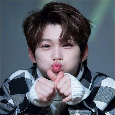 Quels animaux préfères-tu ?