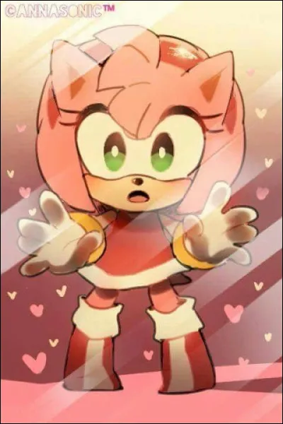 Quels sont les défauts d'Amy Rose ?