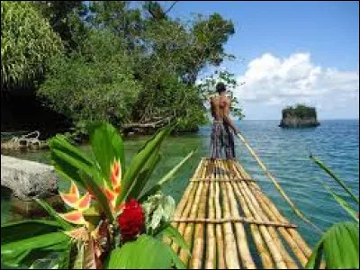 Laquelle de ces couleurs ne figure pas sur le drapeau de la Jamaïque ?