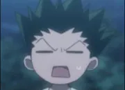 Quiz Es-tu un vrai fan de H x H ?