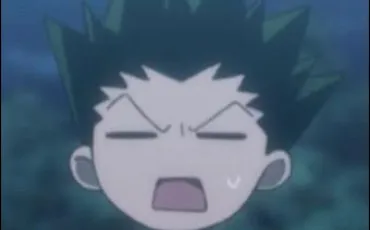 Quiz Hunter x hunter