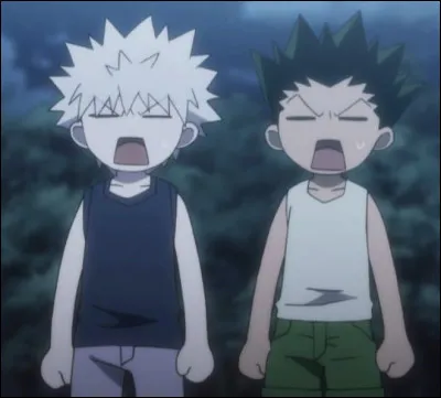 Pourquoi Kirua et Gon se séparent-ils ?