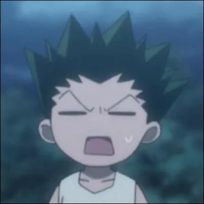 Quel est le but de Gon ?