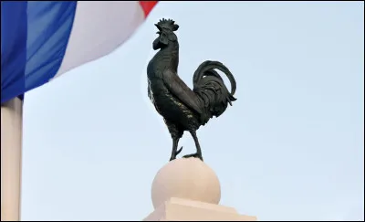 Le coq trône sur la poitrine des sportifs français et symbolise la fierté nationale. De quoi ce symbole vient-il ?