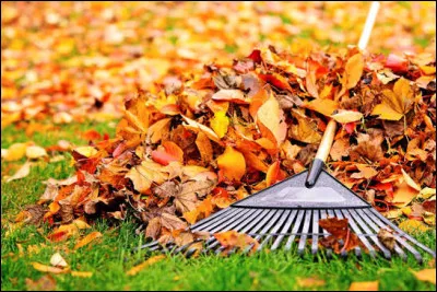 "Oh j'aimerais tant que tu te souviennes / Cette chanson était la tienne / C'était ta préférée / Je crois...". Dans sa chanson, de quel poète Serge Gainsbourg parle-t-il ?