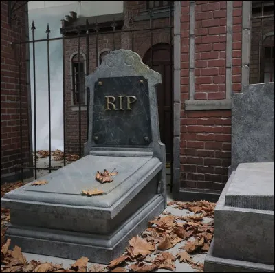 Si un de tes amis était mort, que ferais-tu ?