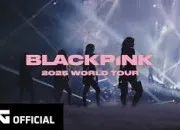 Quiz Connais-tu Blackpink ?