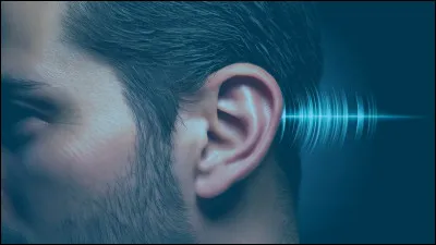 Un jour, lorsque tu glandes sur ton téléphone, un bruit sourd se fait entendre dans le salon. Que fais-tu ?