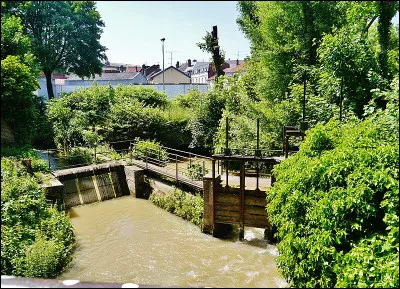 Qui est méchant pour Albert Palud, dans son film de 2004 ?