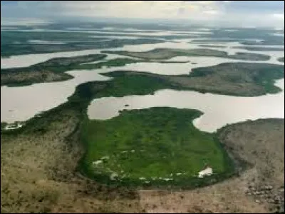 Quel oiseau est endémique de cette région ?