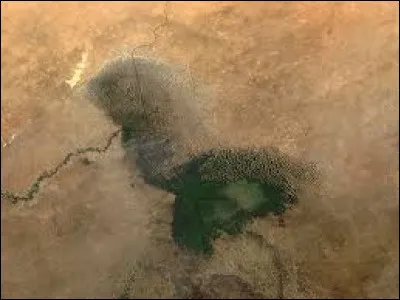 Sur quelle partie du lac retrouve-t-on du roseau ?