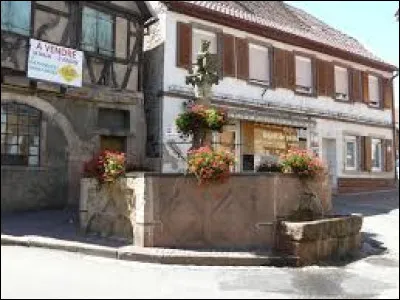 Nous partons dans la vallée de la Bruche, à Heiligenstein. Village construit sur une colline, dans l'arrondissement de Molsheim, il se situe dans le département ...