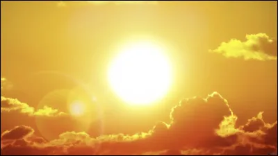 Chef au pelage doré, mentor de Nuage Bleu, c'est...