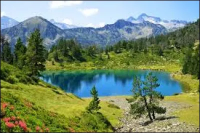 Comment dit-on "pomme" en anglais ?