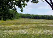 Quiz Lieux communs