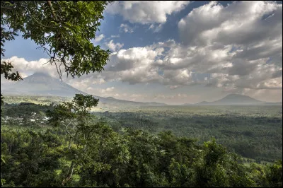 On peut vite se perdre dans le parc national des Virunga, plus ancien parc national d'Afrique. Mais d'ailleurs, où suis-je ?