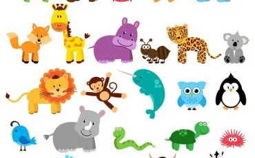 Quiz Bebes