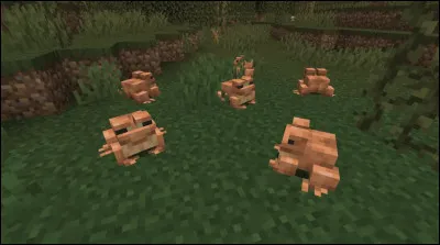 Dans quel biome vit ce mob ?
