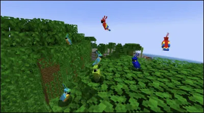 Que faut-il donner aux perroquets pour les apprivoiser ?