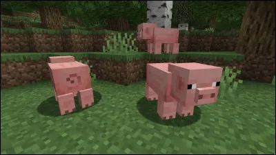 Peut-on chevaucher des cochons ?