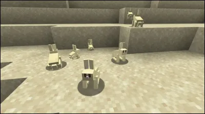 Quelle est cette variété de lapin ?