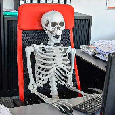 Quel os présent en plusieurs exemplaires dans le corps humain peut être unguéal ?