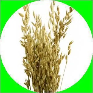 'Recevoir une avoine' signifie :