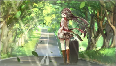 Si tu allais en voyage, où voudrais-tu aller ?