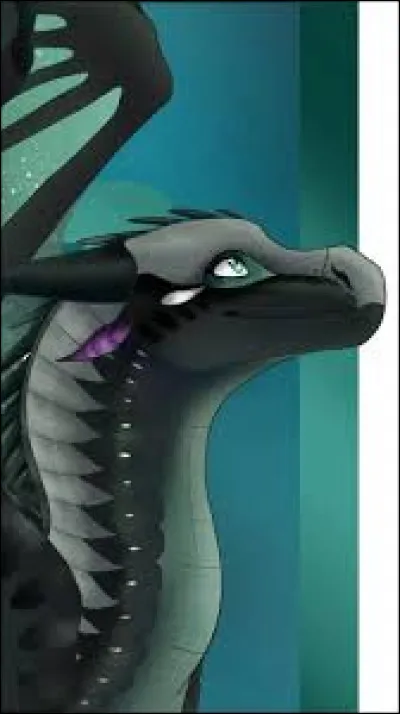 Quel est son métier ?