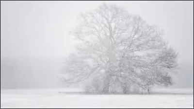 Blizzard : Durant quelle saison peut-on en avoir ?