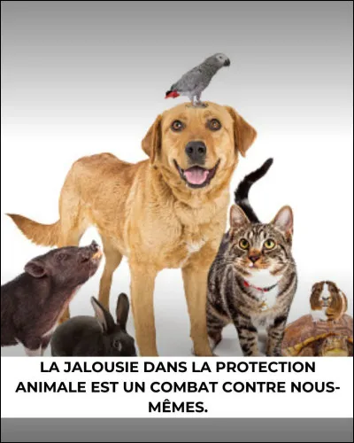 Quel est ton animal préféré ?