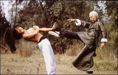Ainsi, c'est le cinéaste Lo Wei, légende du cinéma d'arts martiaux ayant notamment collaboré avec Bruce Lee, qui permit à Jackie Chan de se faire un nom. Après quelques films en commun, des désaccords artistiques poussent Jackie à réaliser lui-même, et ainsi réinventer le genre en y ajoutant un humour burlesque inspiré du cinéma muet. Lequel de ces films correspond à sa première réalisation ?