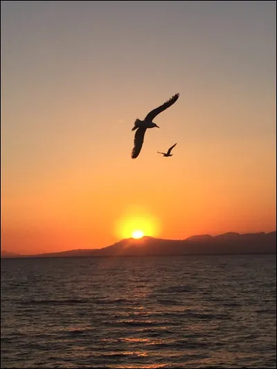 Aux États-Unis, en 1682, la Louisiane fut baptisée de ce nom en l'honneur d'un roi de France, lequel ?