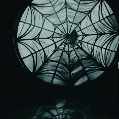 Tu veux les cheveux de quelle couleur ?