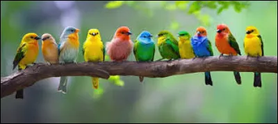 Comment appelle-t-on la partie de la zoologie qui étudie les oiseaux ?