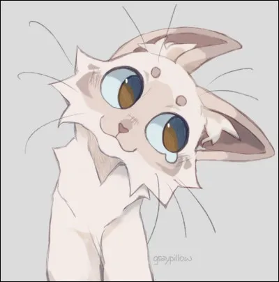 Cur Blanc a les yeux bleus.