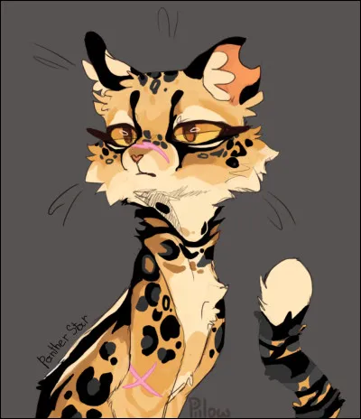 Quelles sont les caractéristiques de son pelage ?