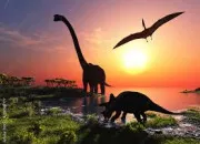 Quiz Vrai ou faux : les dinosaures