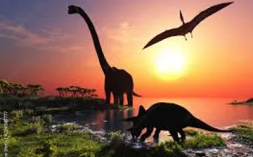 Quiz Dinosaures