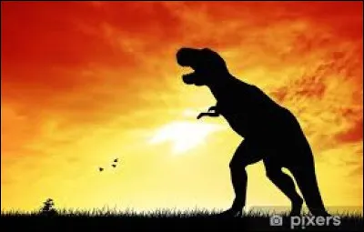 Le Tyrannosaure avait des bras très courts par rapport à son corps.